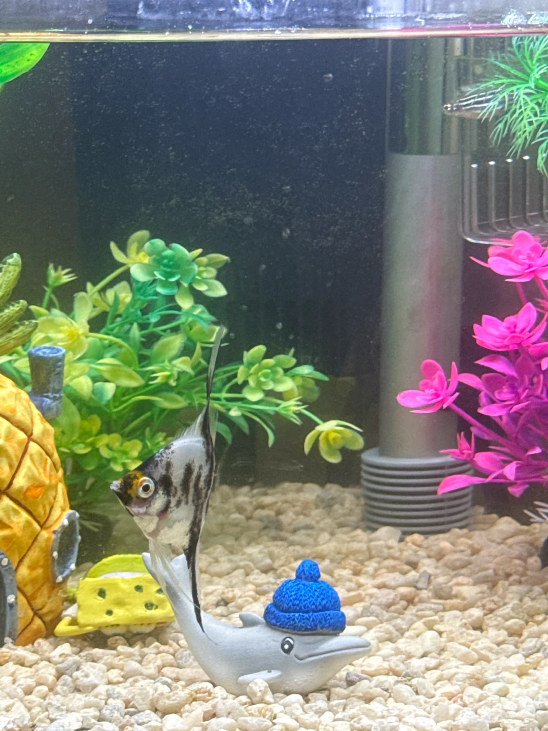 Curved Aquarium with Decorations and Light - photo 2