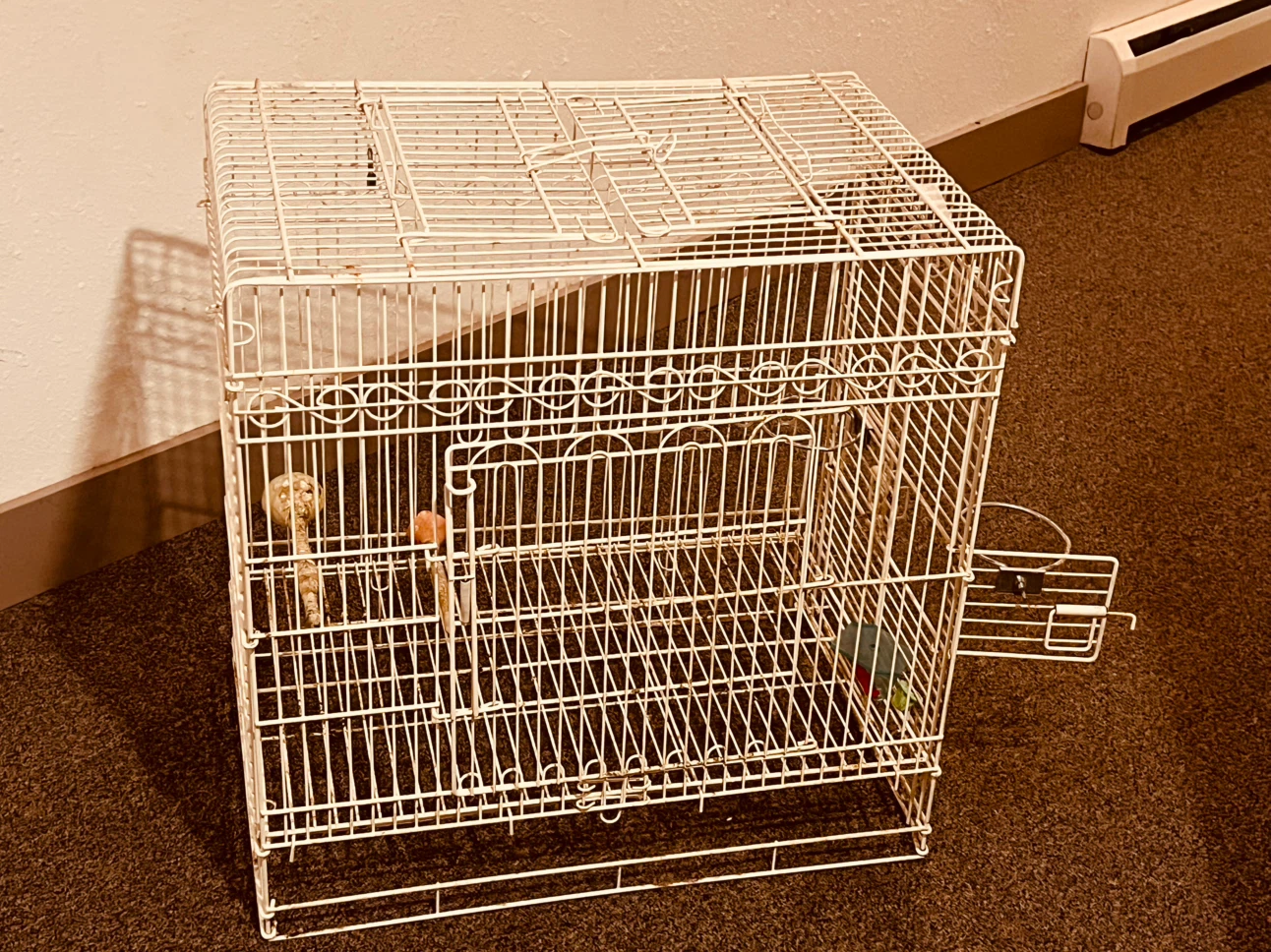 White Bird Cage