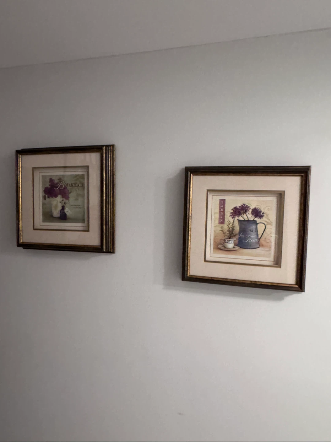 Set of Two Botanical Wall Art Prints