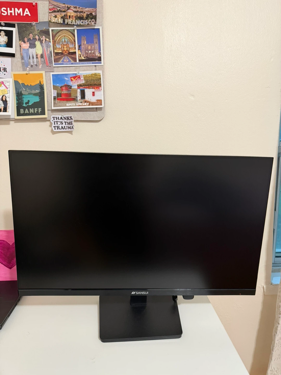 Sansui Computer Monitor