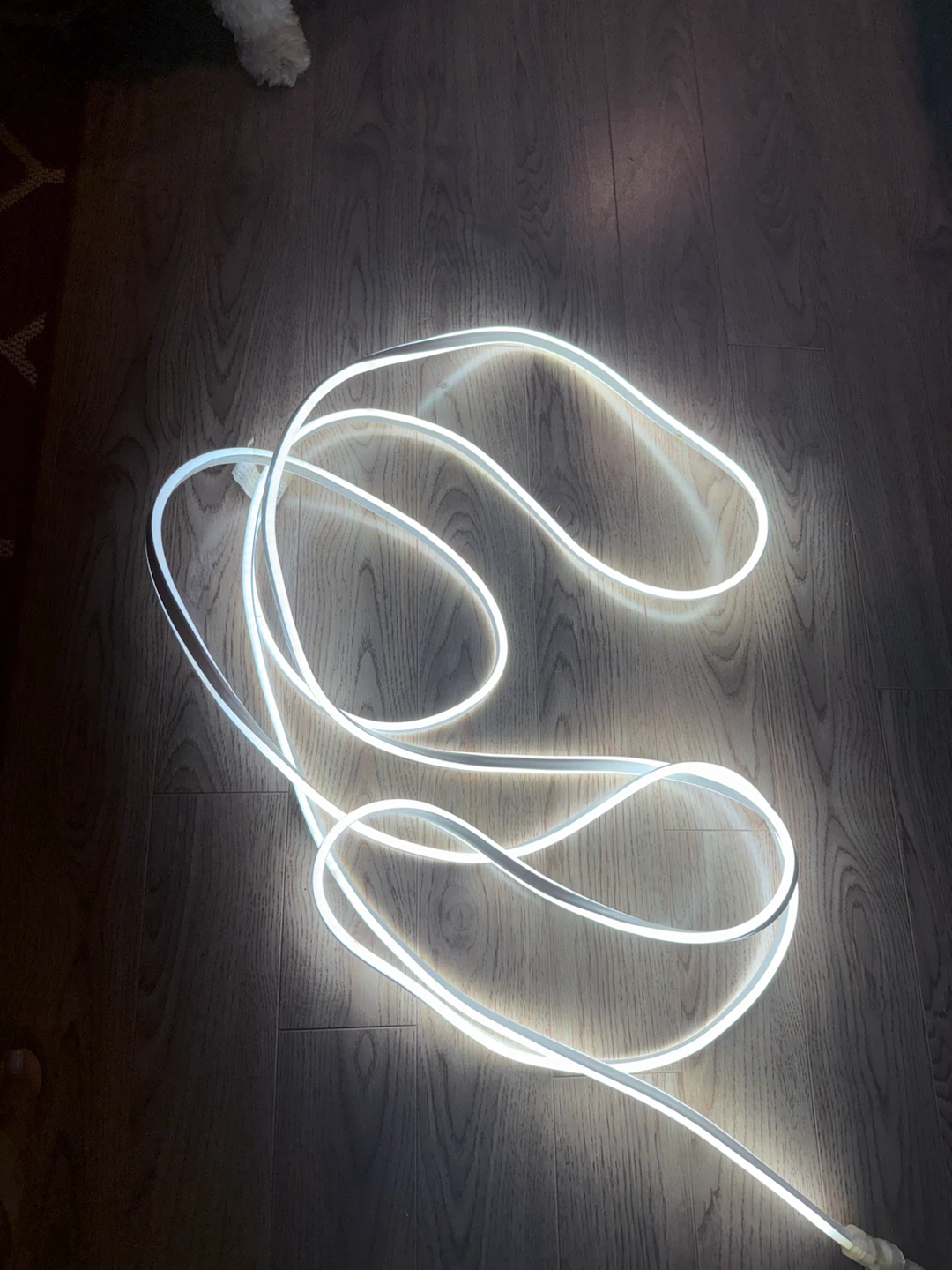 White LED Neon Rope Light