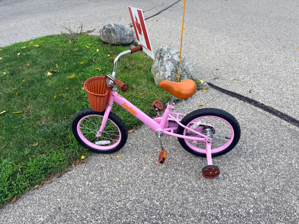 Girl bike 16 inches wheel - photo 2