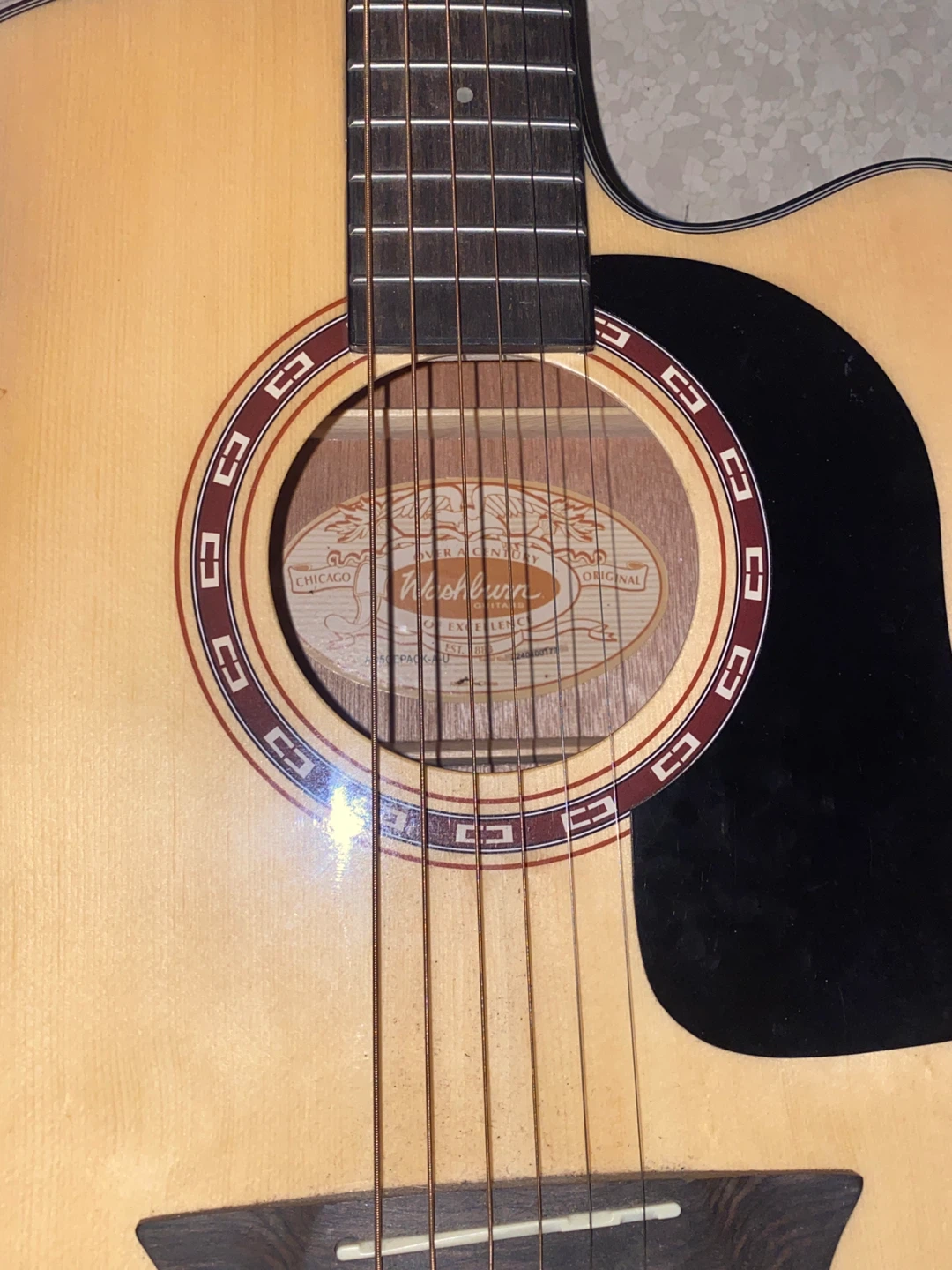 Washburn Acoustic-Electric - photo 4
