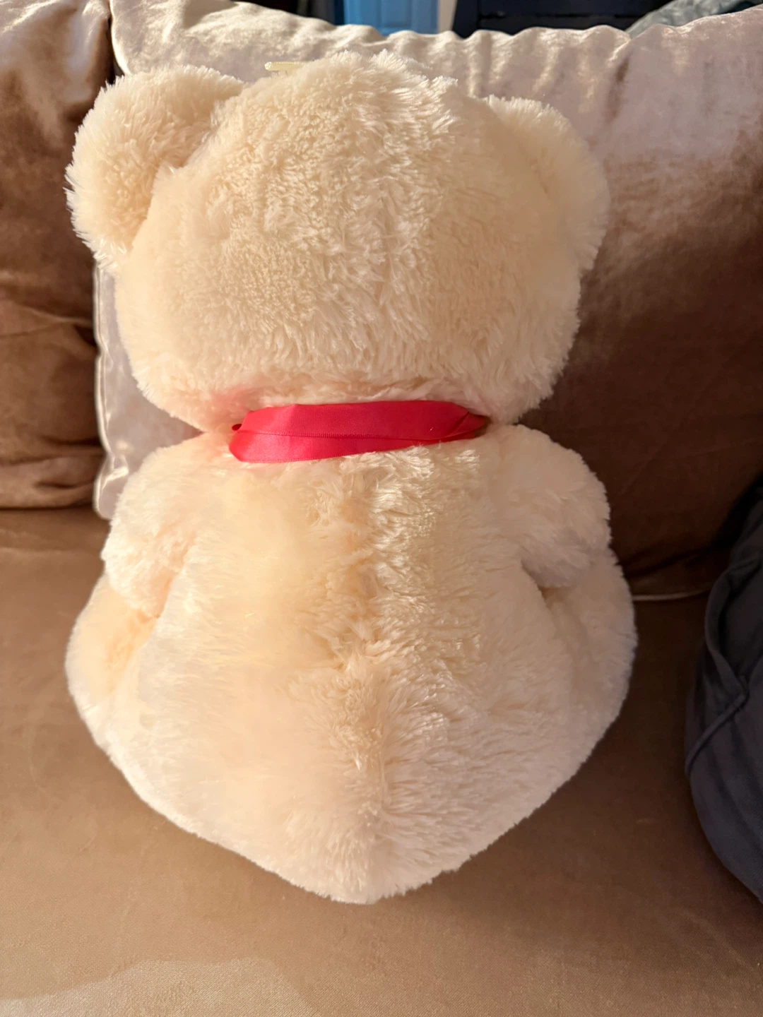 Cream Teddy Bear with "I Love You" Heart - photo 4