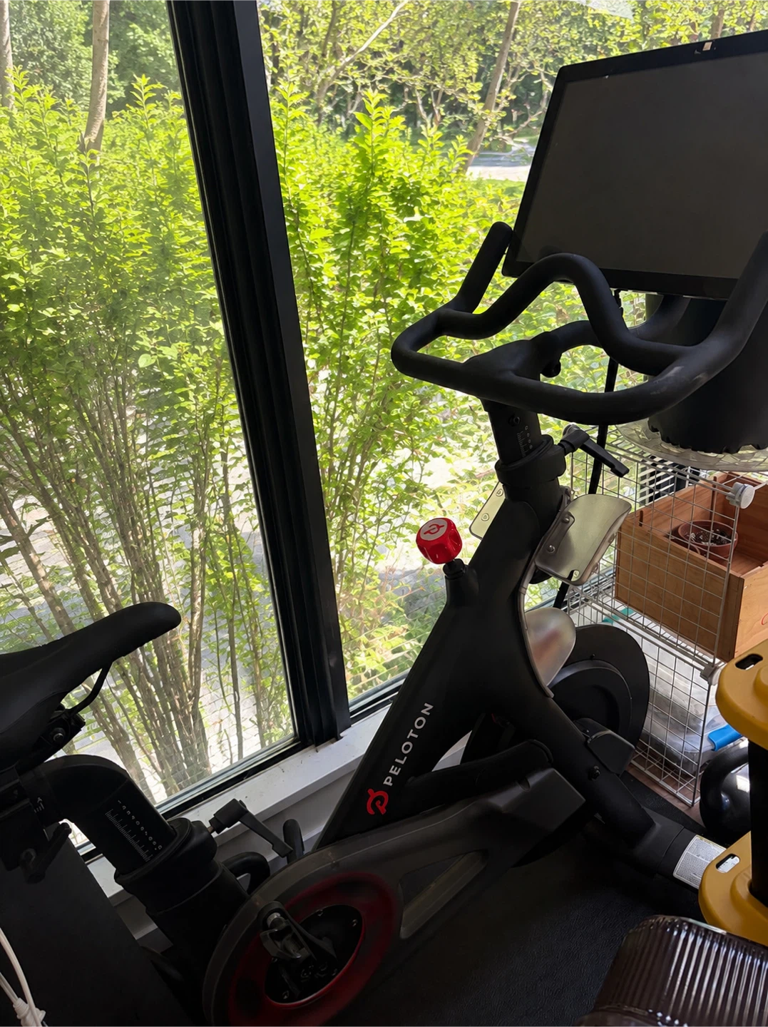 Peloton Bike