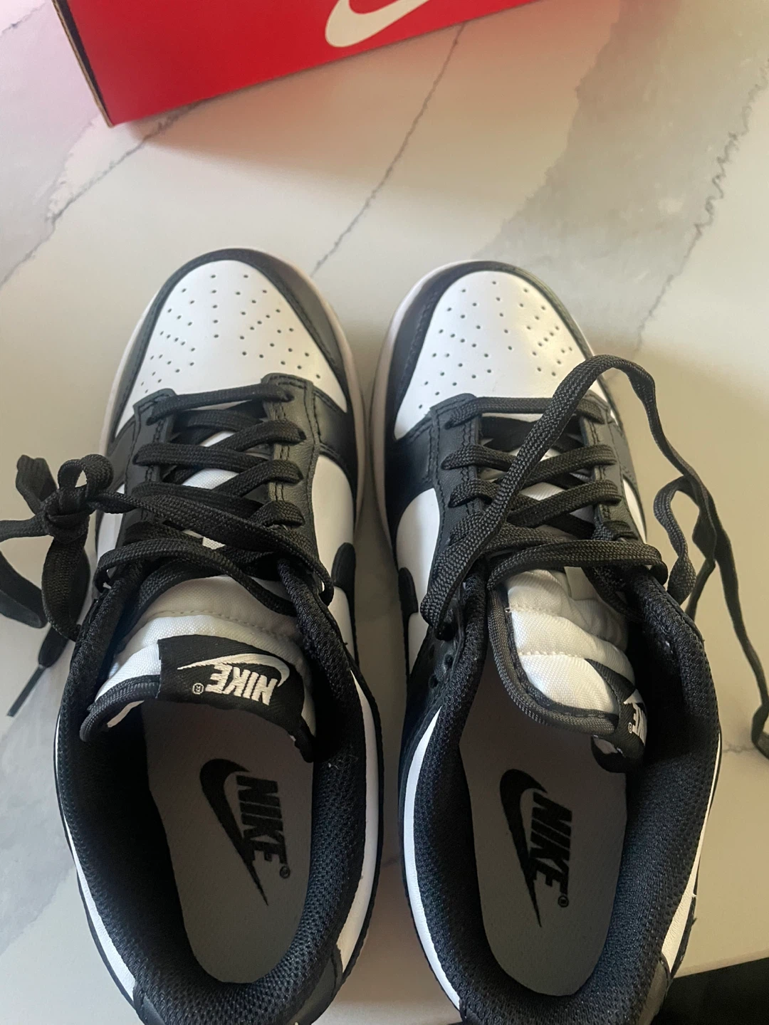 Nike Dunk Low Black and White