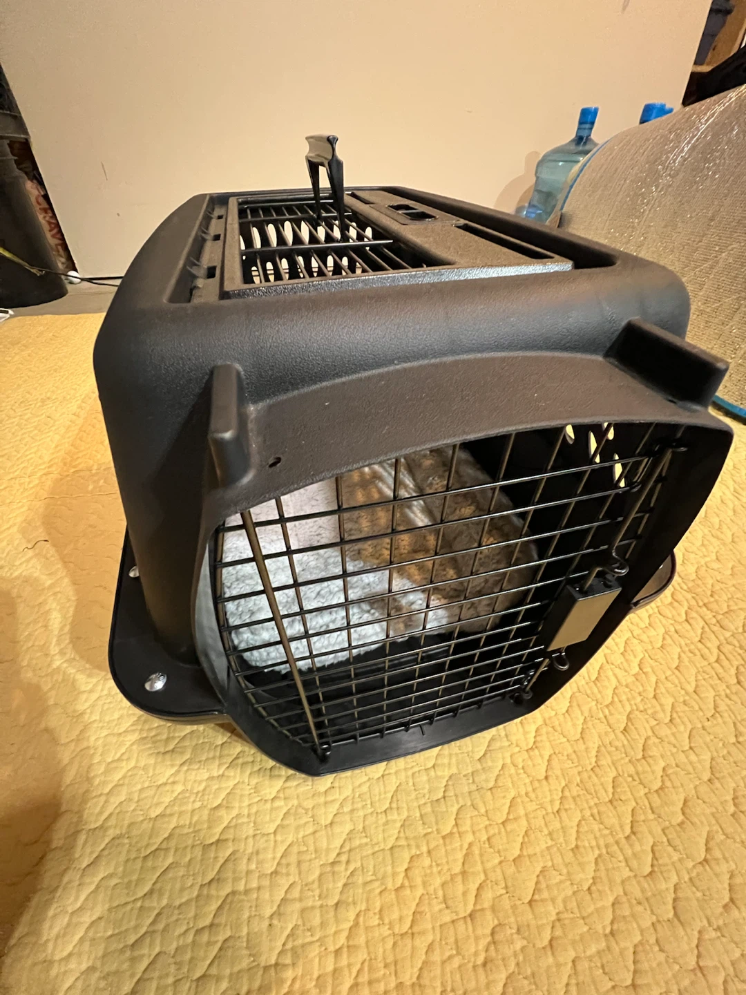Petmate 2 Door Top-Load Kennel with cushion - photo 2