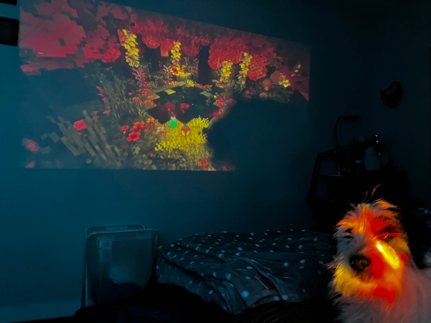 🍿🥤HY300 max mini projector - photo 2