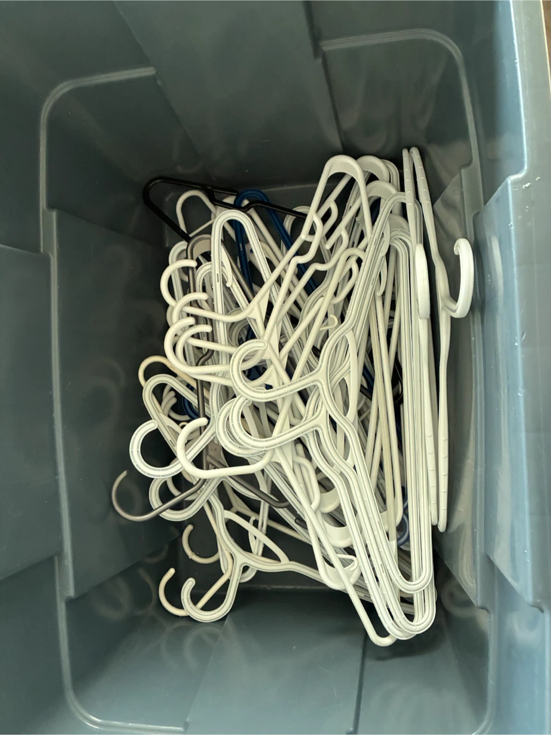 House purge