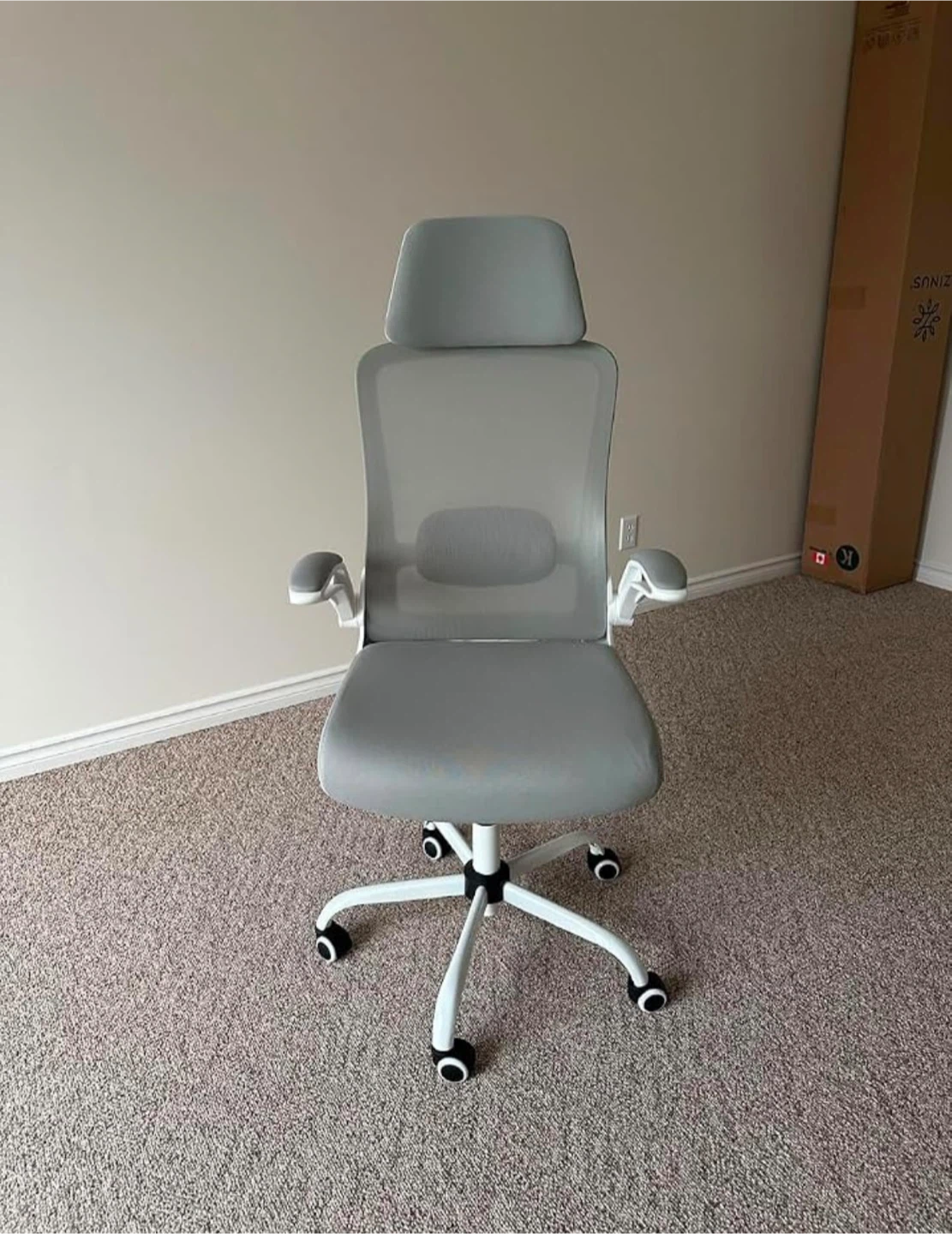 Grey Ergonomic Office Chair with Headrest
