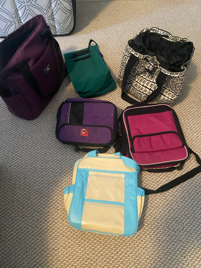 Assorted Lunch Bags and Totes