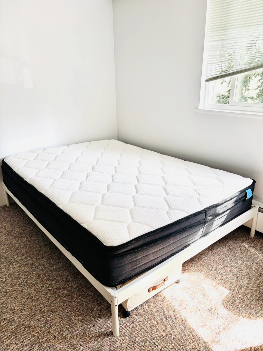 Double mattress + bed frame + protector, FREE