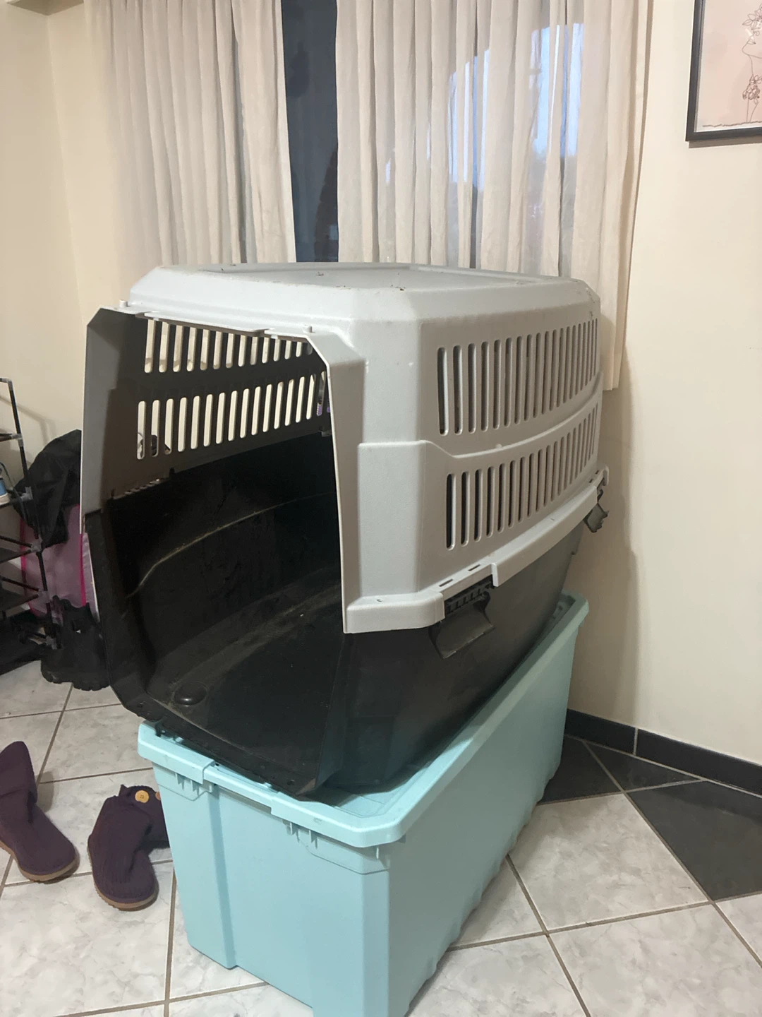 XXL Pet Travel Carrier KENNEL