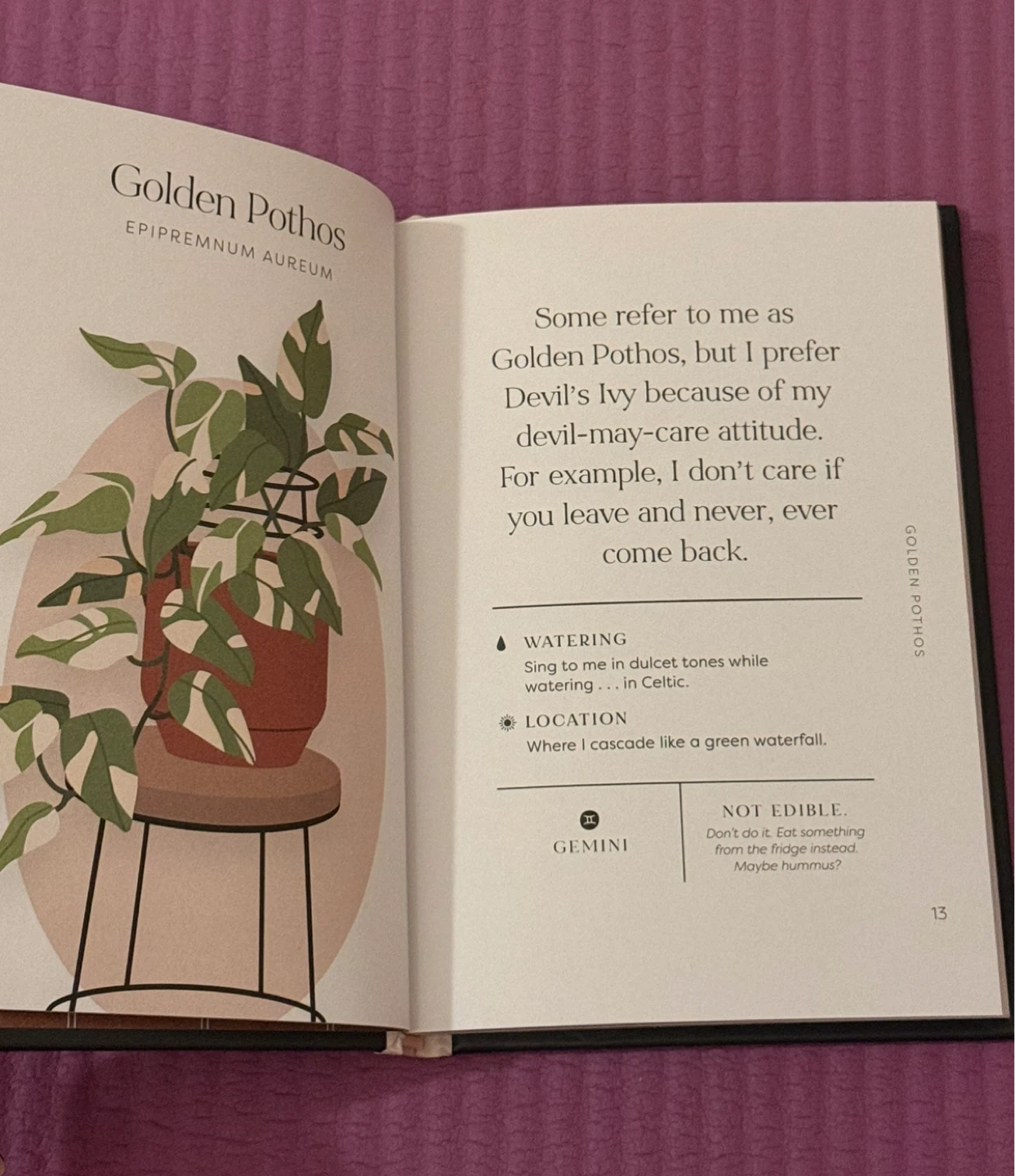 NEW✨House Plants and Their F*cked-Up Thoughts Book - photo 2