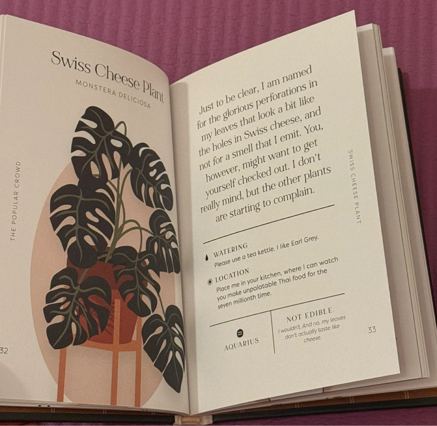 NEW✨House Plants and Their F*cked-Up Thoughts Book - photo 4