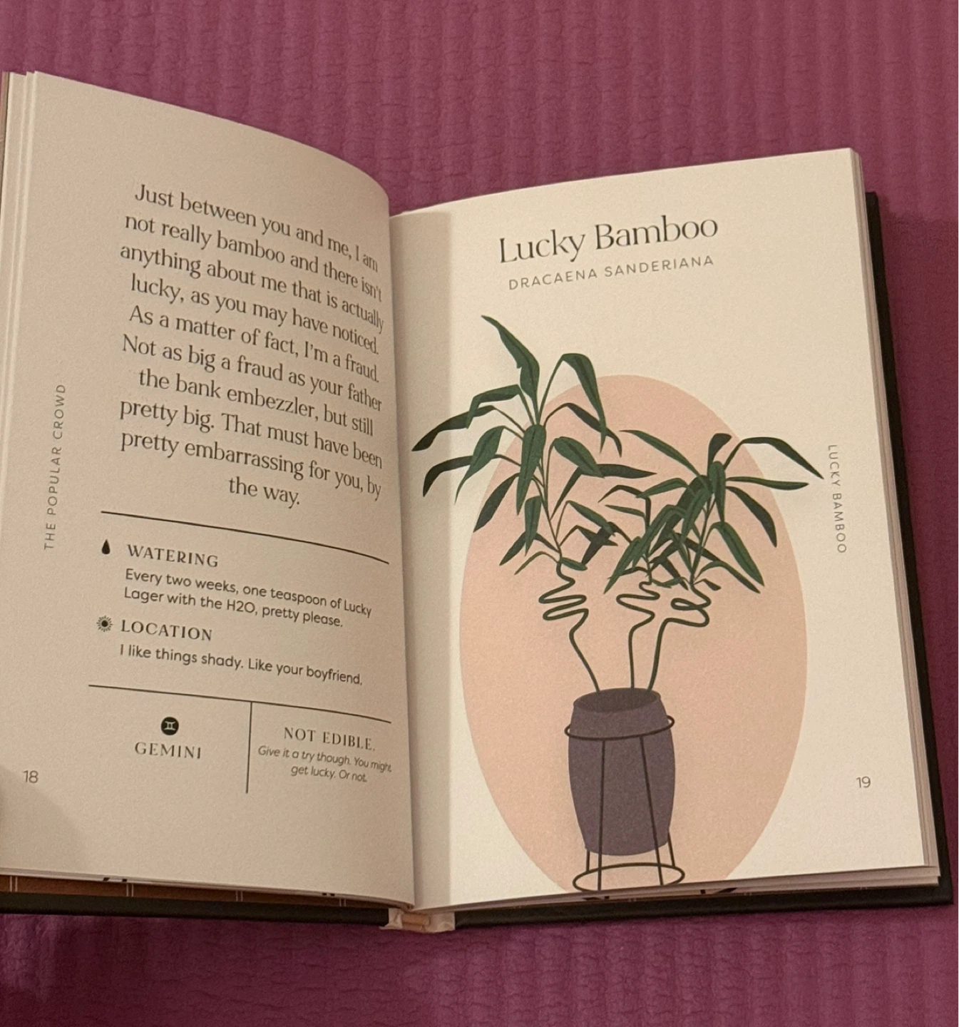 NEW✨House Plants and Their F*cked-Up Thoughts Book - photo 5