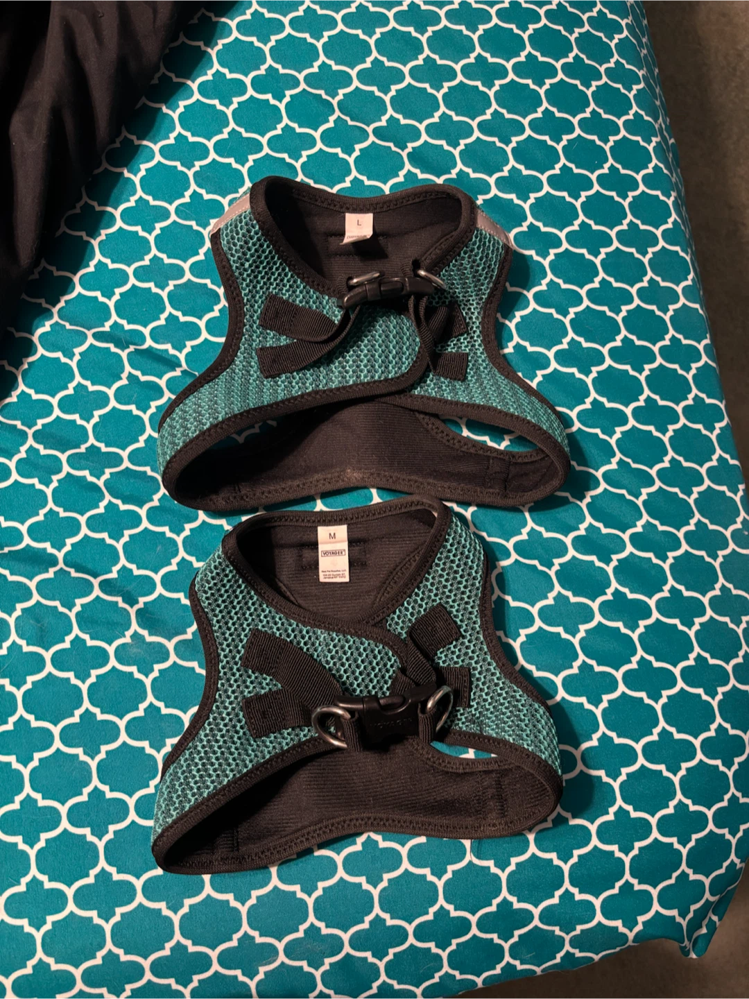 Voyager Dog Harnesses (M & L)