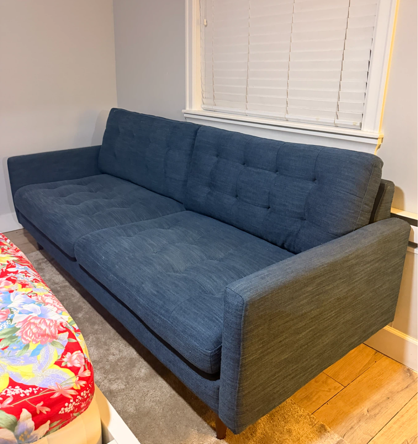 Urban Barn Blue sofa with carpet