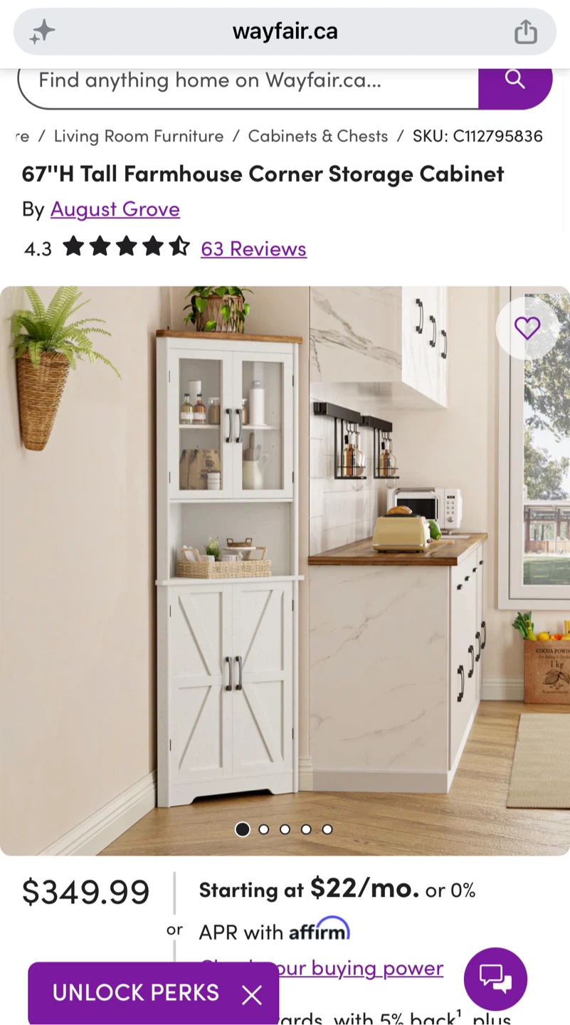 Brand New Corner Storage Cabinet - photo 5
