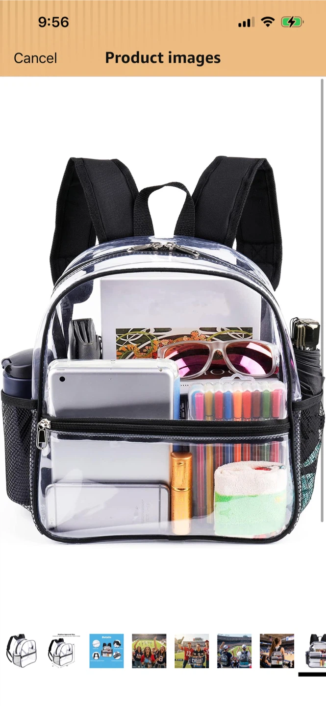 New-Clear Backpack Stadium Approved Size