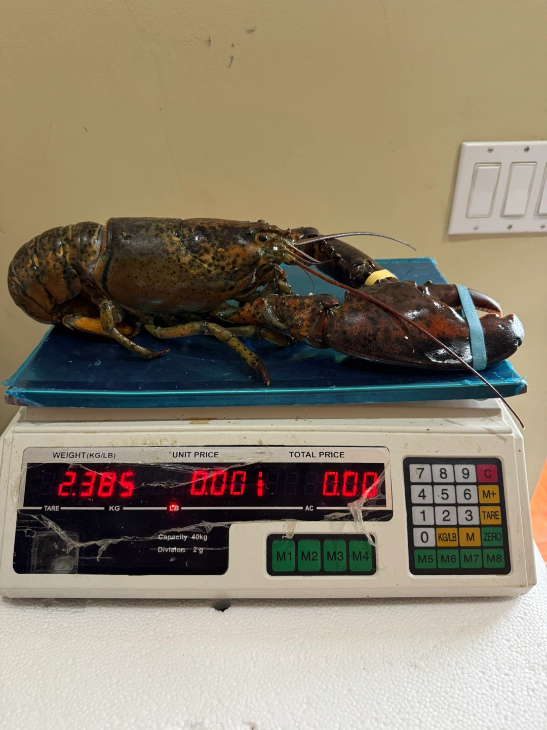 Fresh Yukon Lobsters