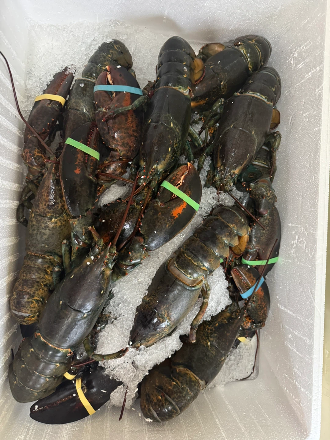 Fresh Yukon Lobsters - photo 3