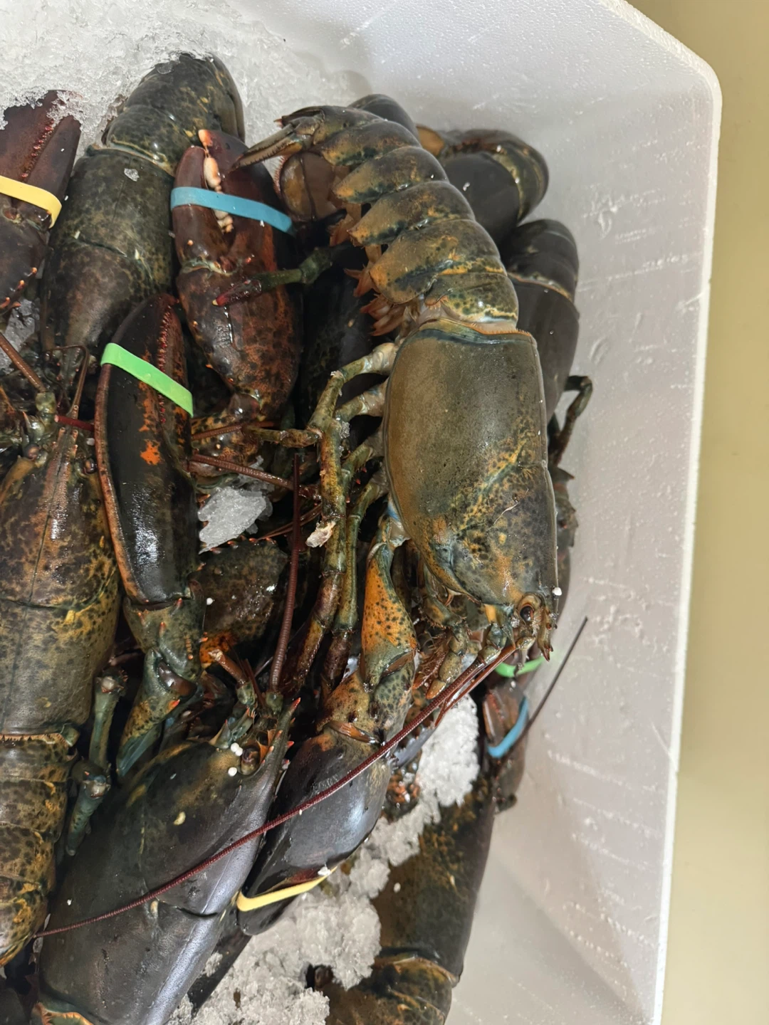 Fresh Yukon Lobsters - photo 4