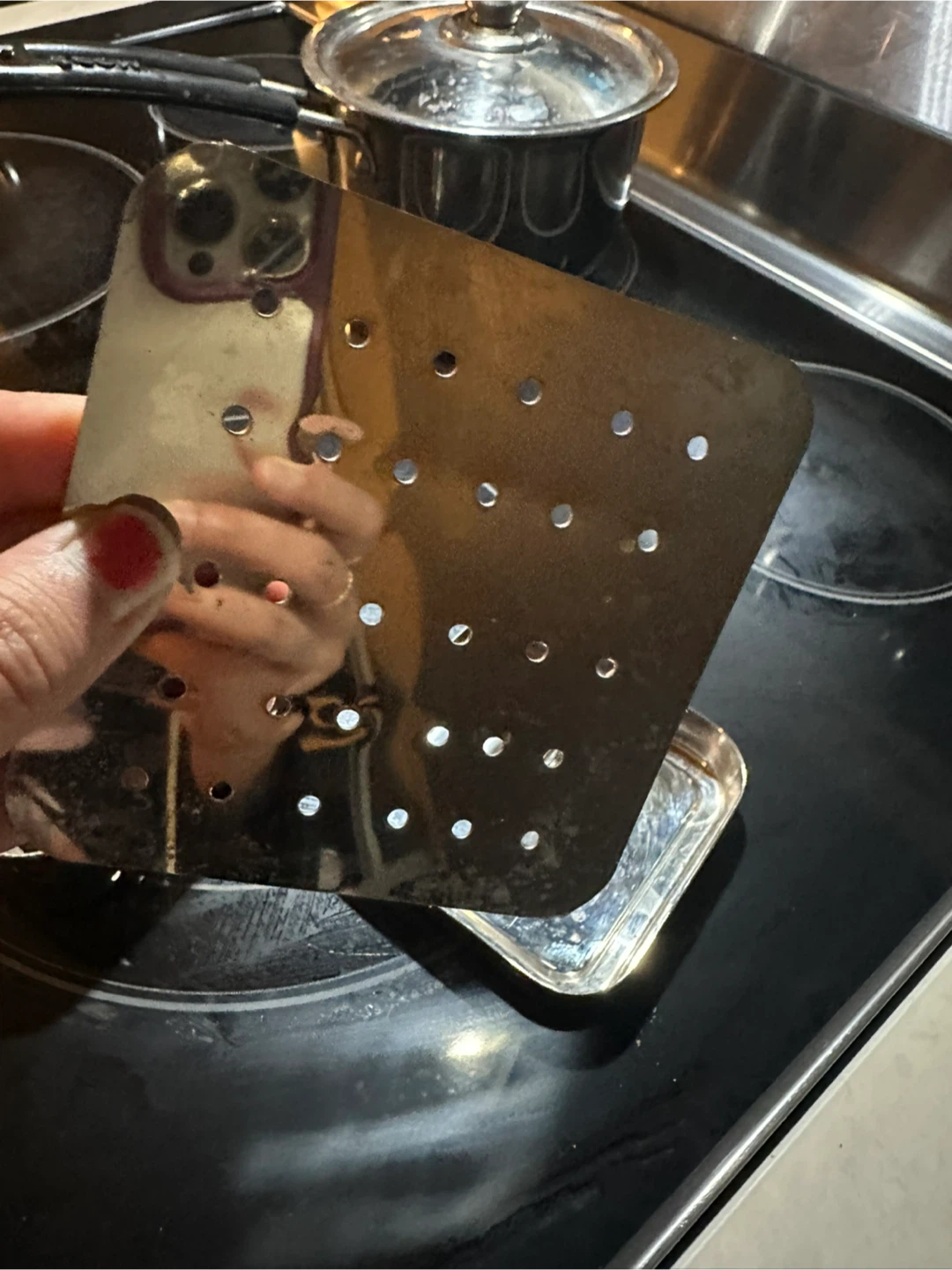 Stainless Steel Tofu Press