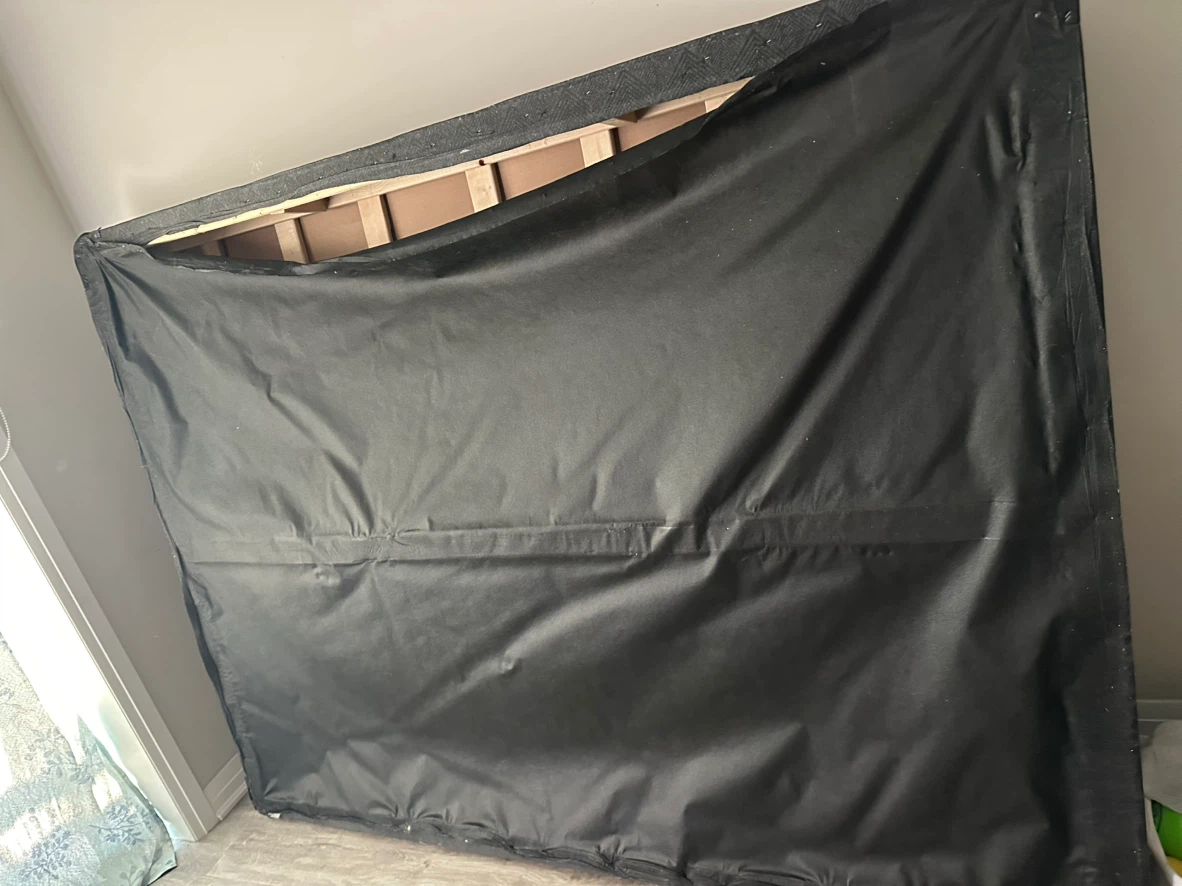 Queen size mattress and box spring - photo 5