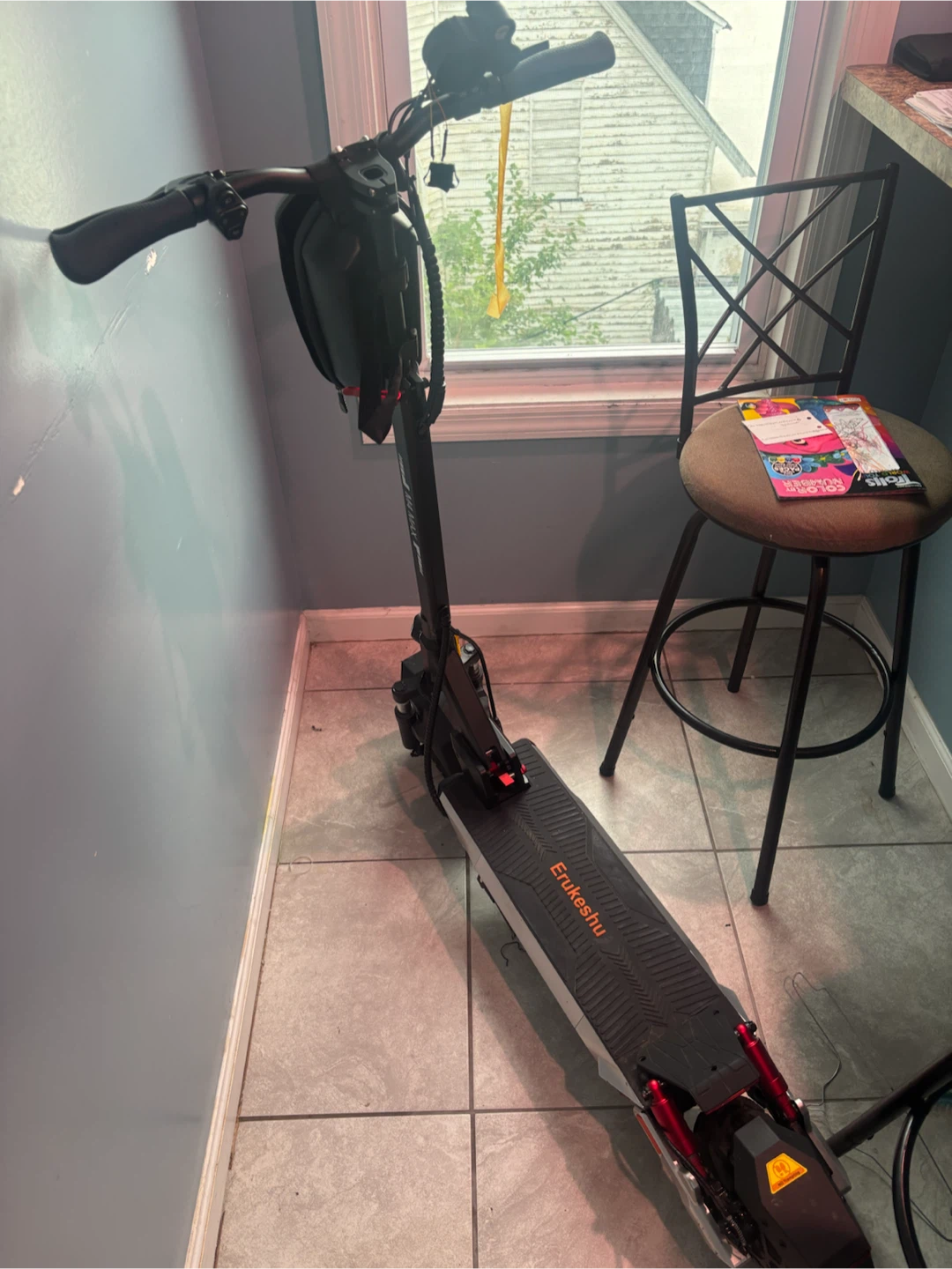 Erukieshu Electric Scooter - photo 5