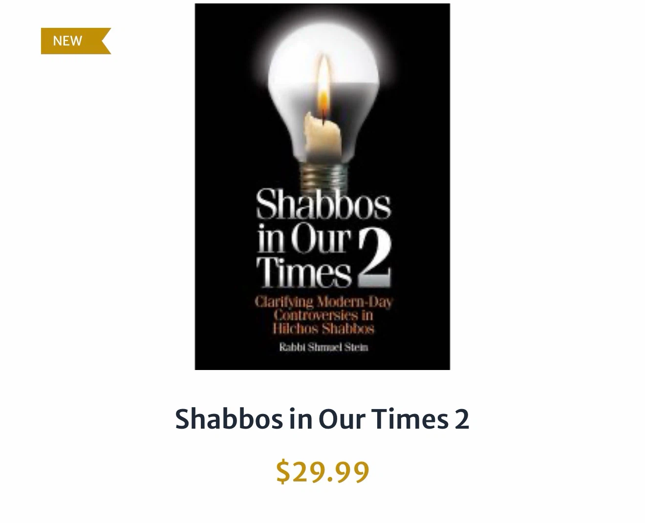Shabbos in Our Times 2 by Rabbi Shmuel Stein