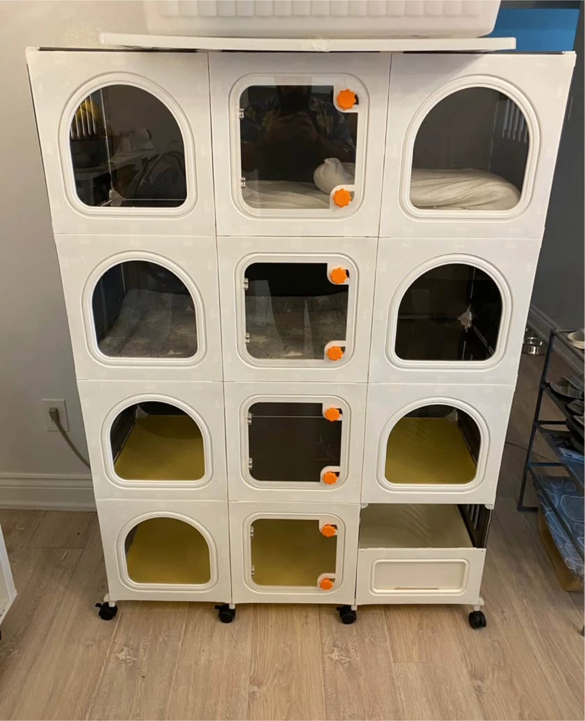 Lange fourth floor cat cage
