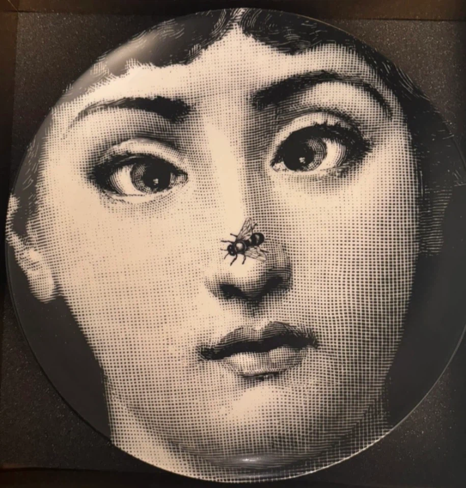 Fornasetti Tema e Variazioni Plate 363