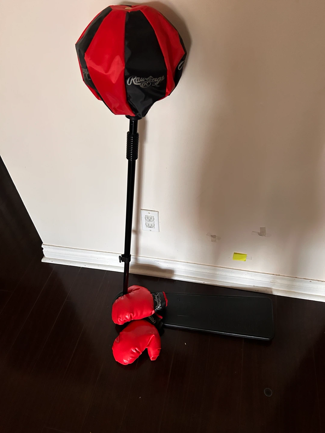 Rawlings Punching Bag with Gloves