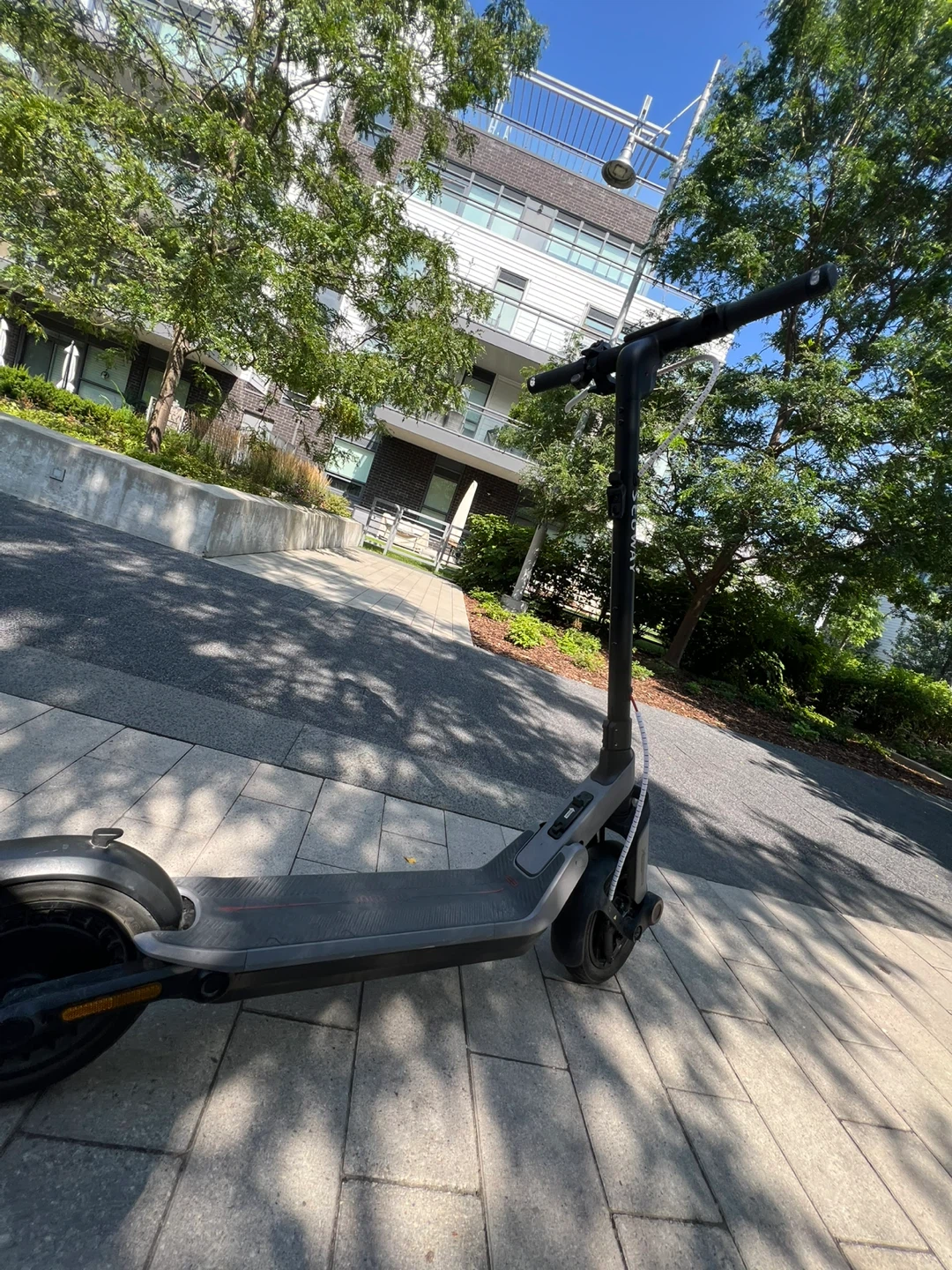 Segway Electric Scooter