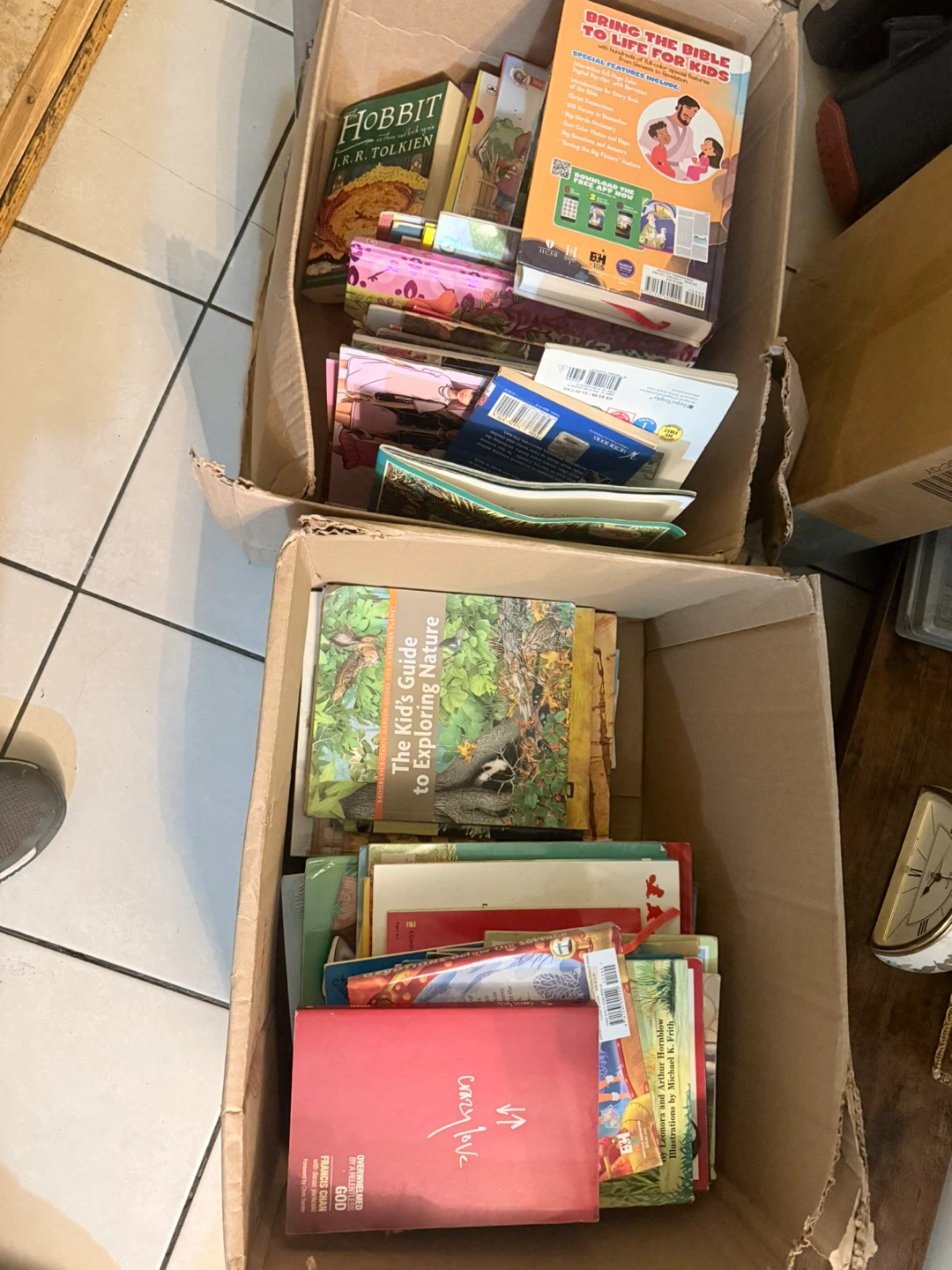 Assorted Childrens and Young Adult Books Collection