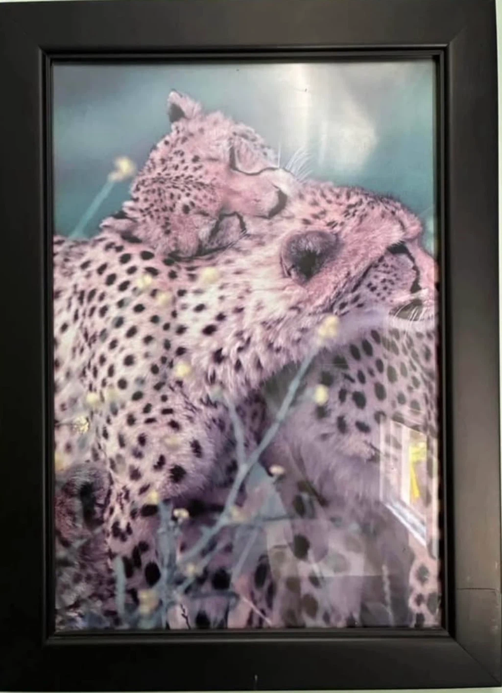 Set of 4 Framed Wildlife Prints - photo 4