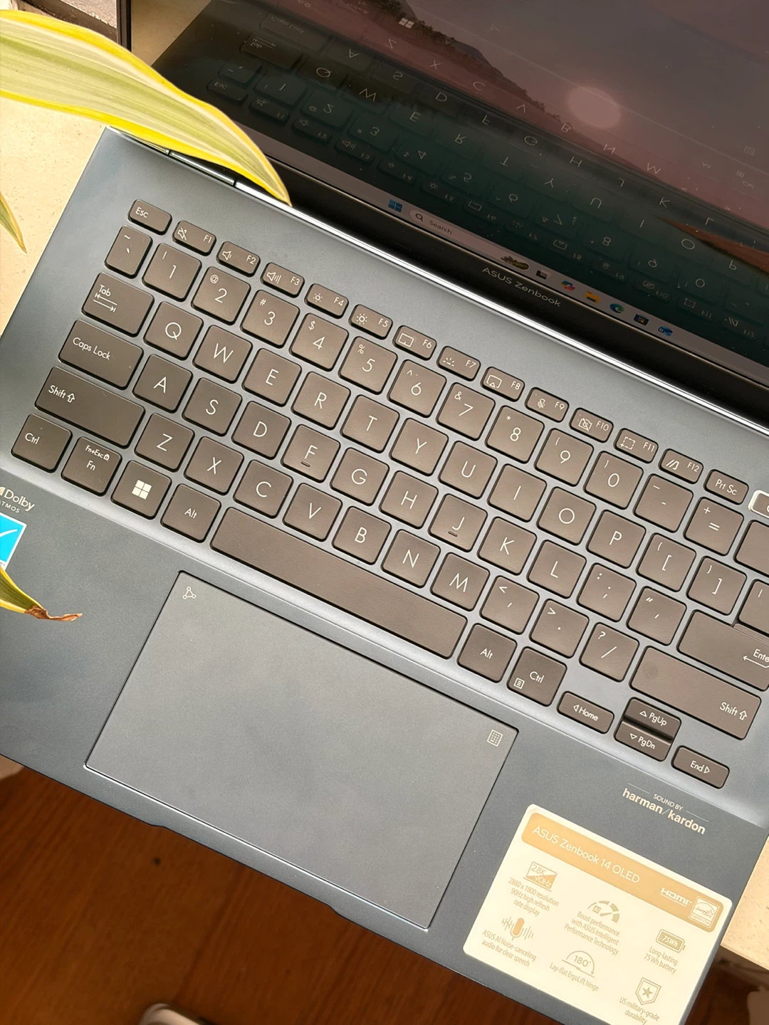 ASUS Zenbook 14-UX3402 OLED — i5-12th Gen / 8Gb / 500Gb / 2.8K - photo 3