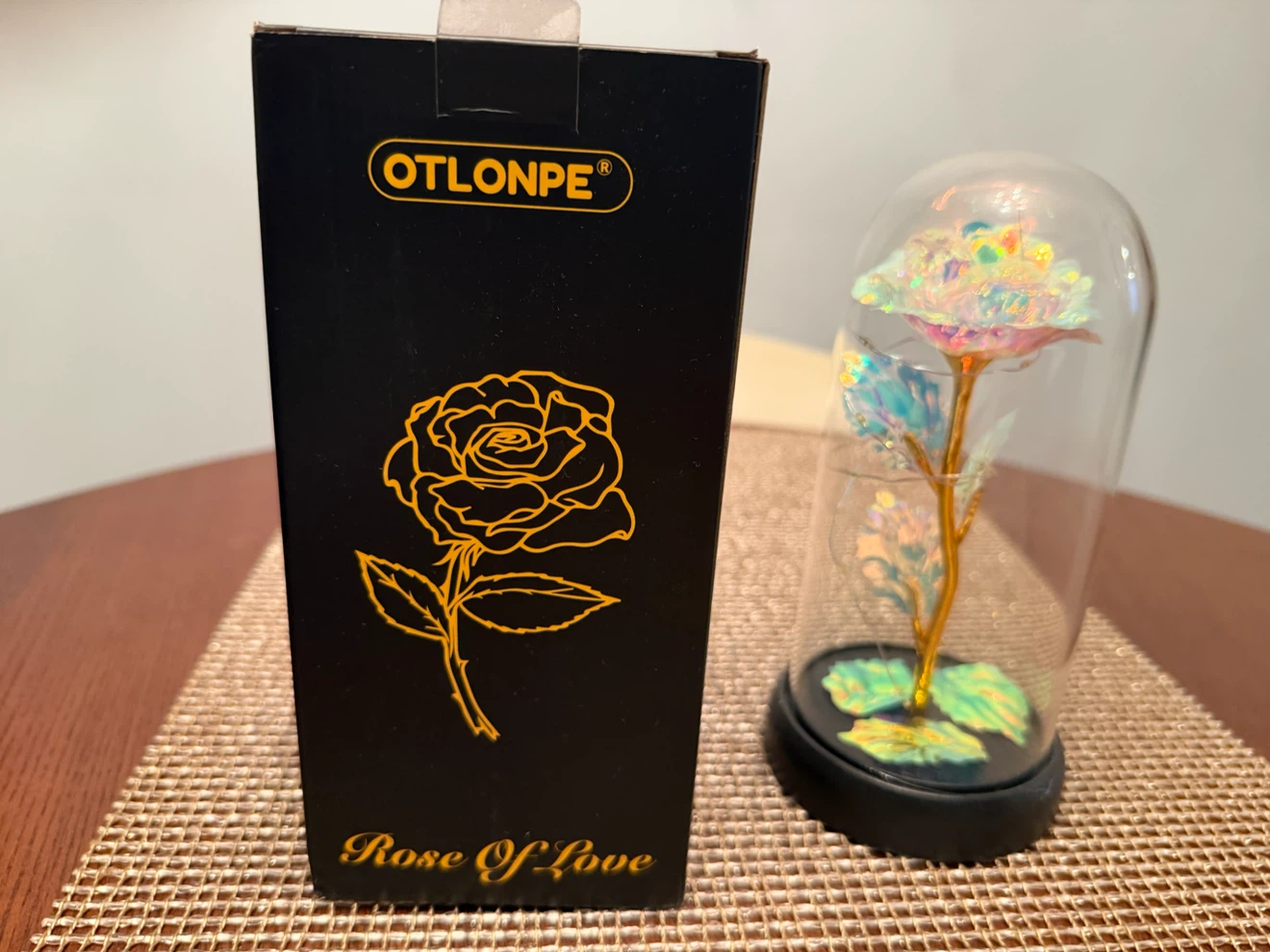 OTLONPE Rose of Love Decorative Lamp with LED Lights