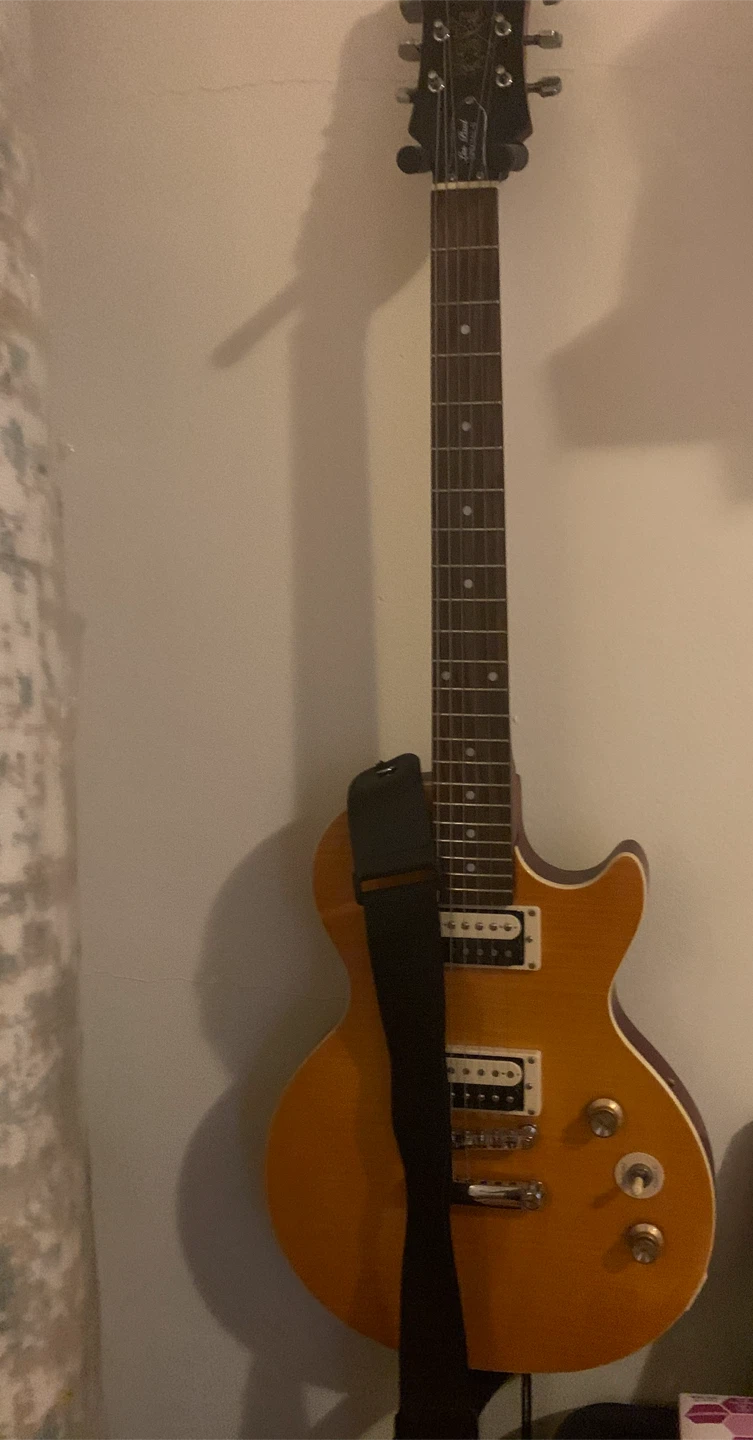Afd Slash edition Epiphone Les Paul Special Electric Guitar