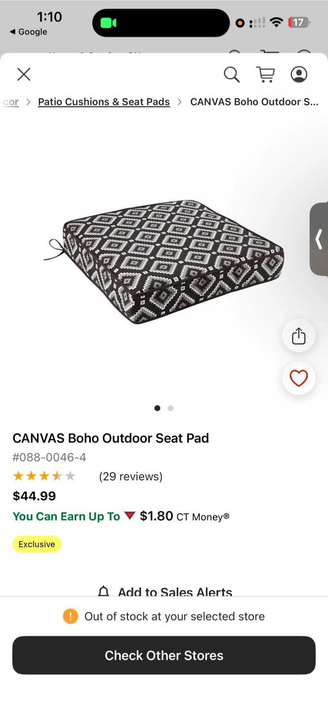 CANVAS Boho Outdoor Seat Pad and Lounge Cushions - photo 3