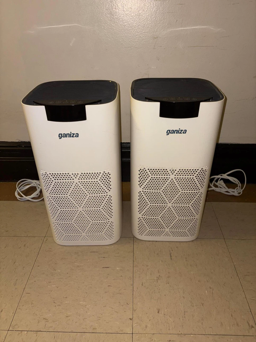 2 Ganiza Air Purifiers