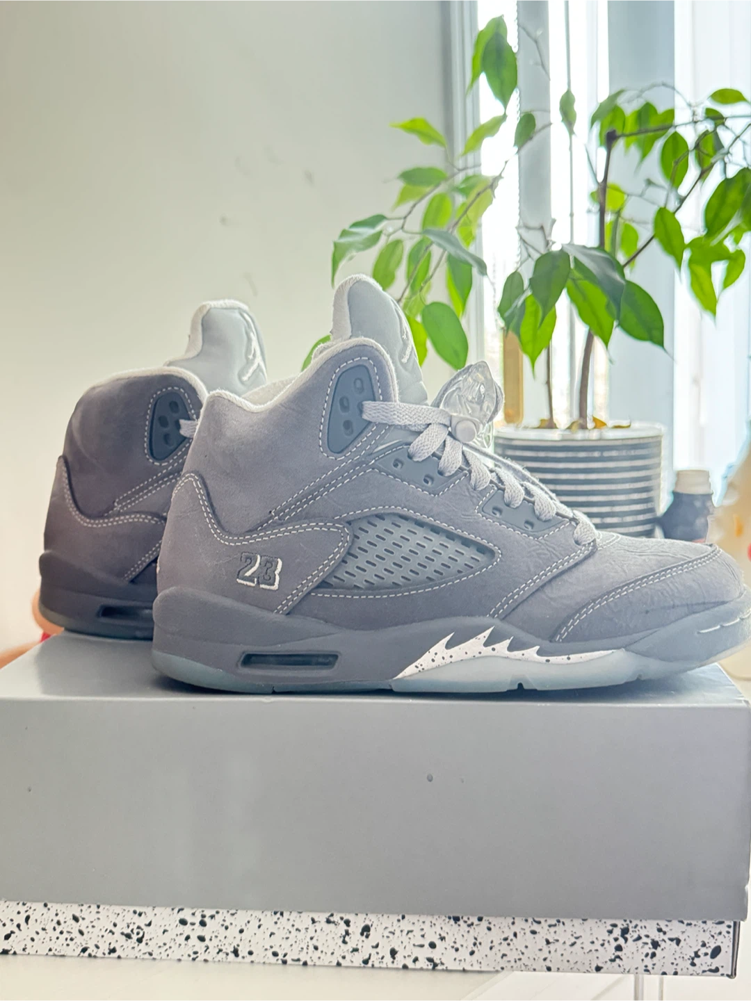 Air Jordan 5 Retro SE