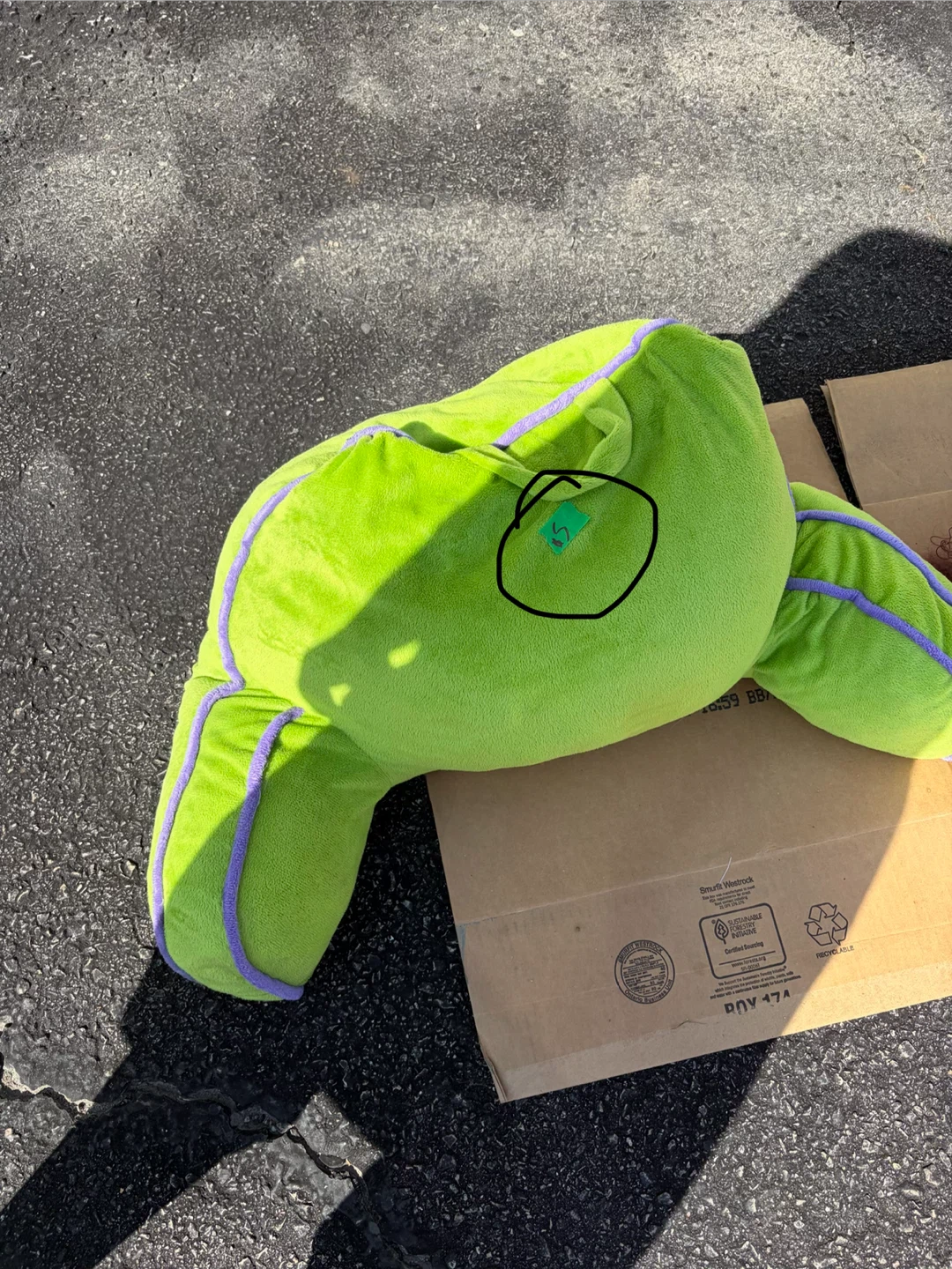Green Reading Pillow with Purple Piping
