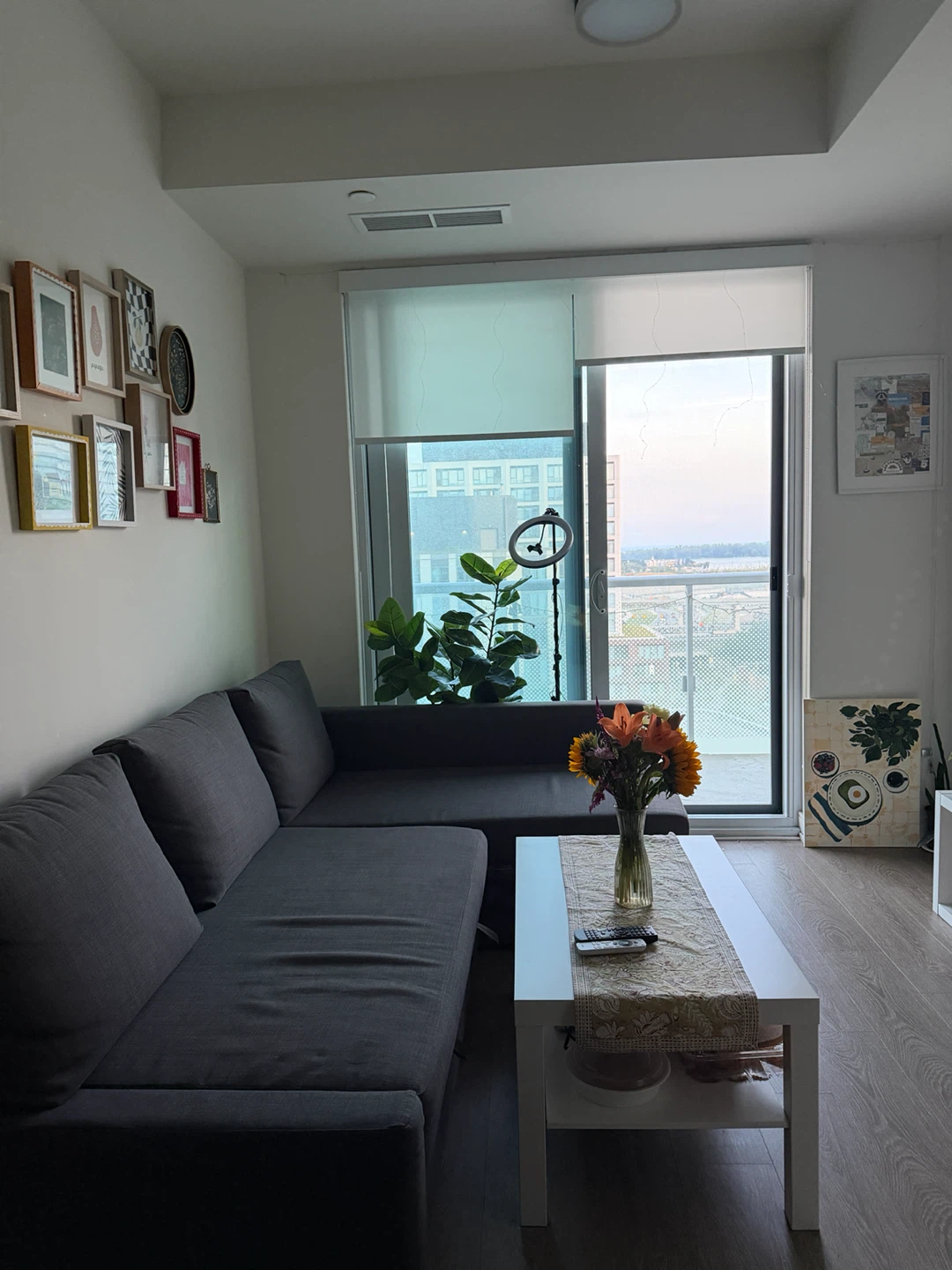 IKEA Friheten Sofa  Bed