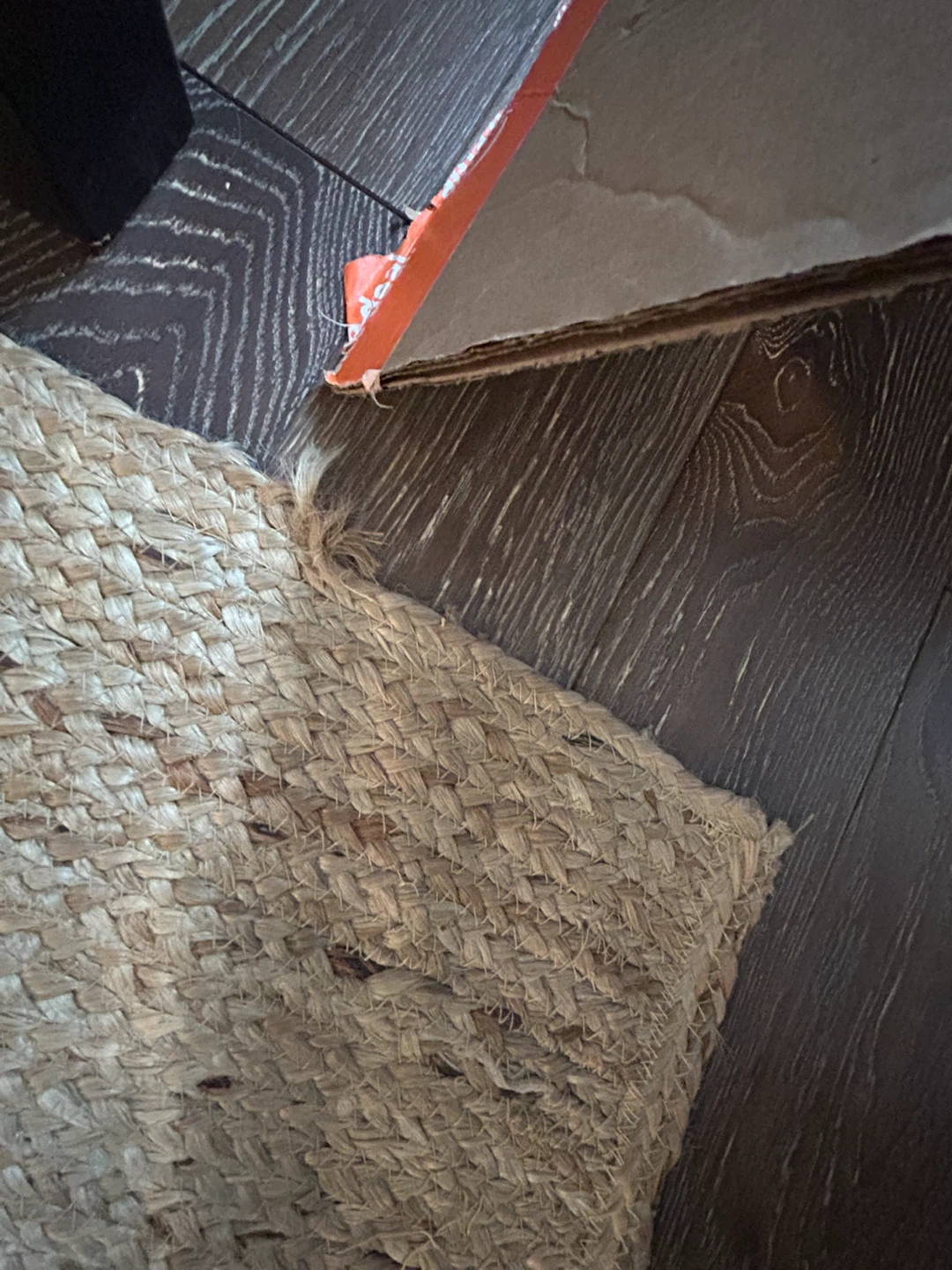 Jute Area Rug - photo 2