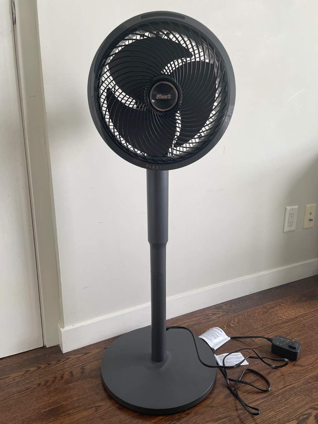 Fan