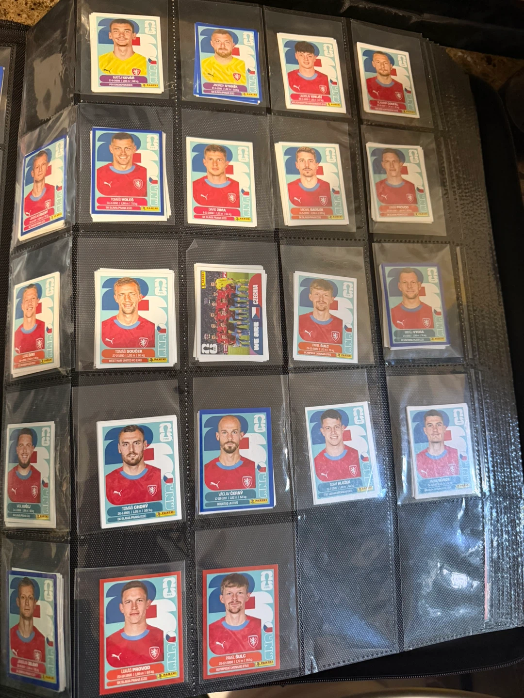 Panini Soccer Sticker Collection