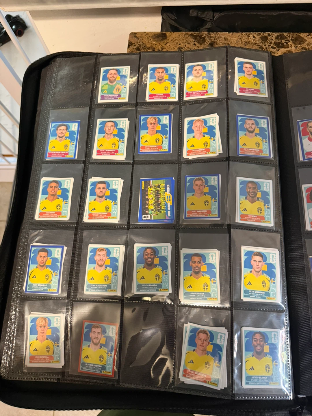 Panini Soccer Sticker Collection - photo 4