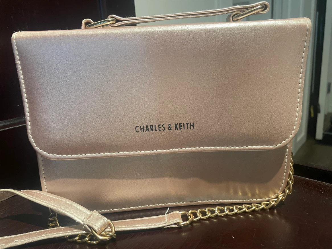 Charles & Keith Rose Gold Crossbody Bag